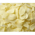 New Crop Garlic Flakes Factory Supply